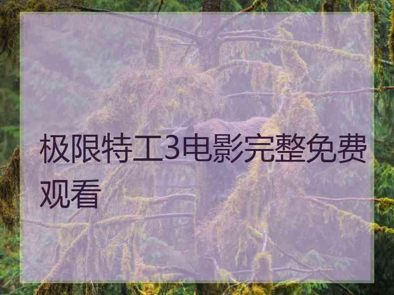 极限特工3电影完整免费观看