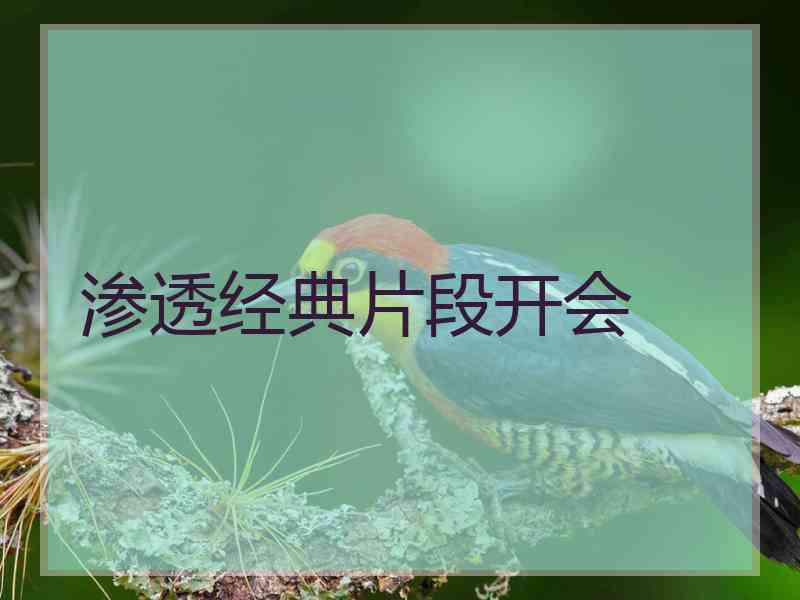 渗透经典片段开会