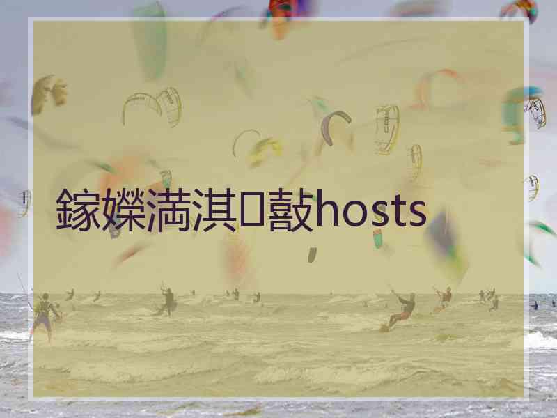 鎵嬫満淇敼hosts