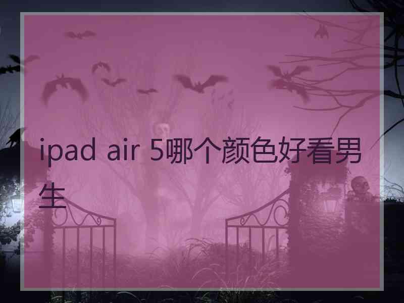 ipad air 5哪个颜色好看男生