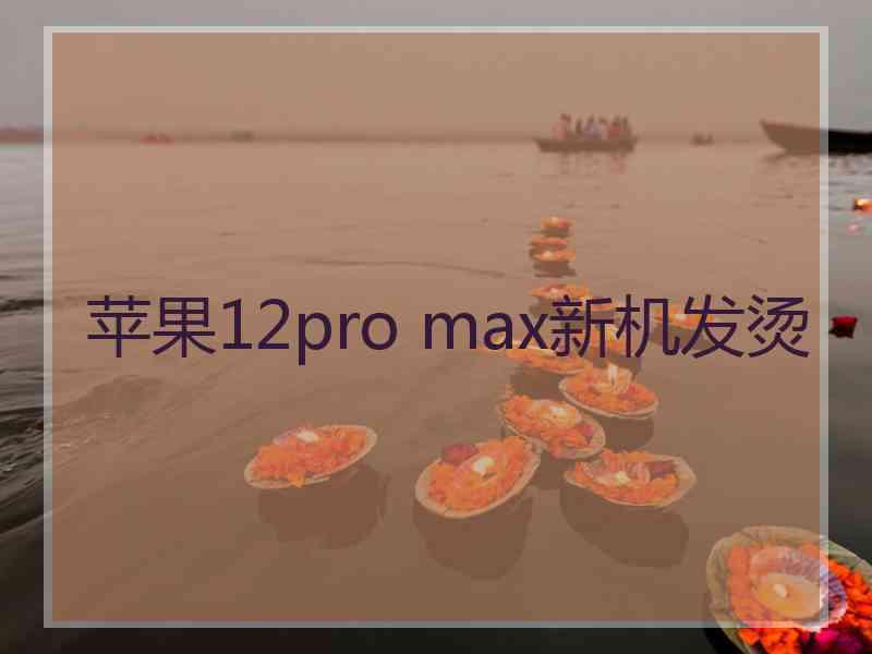 苹果12pro max新机发烫