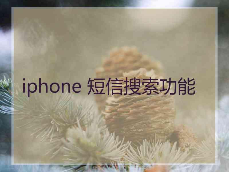 iphone 短信搜索功能