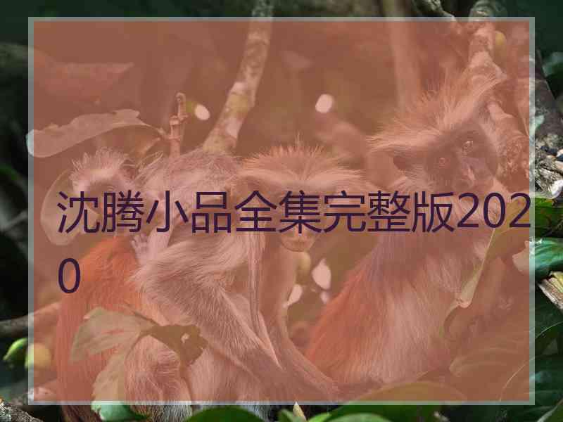 沈腾小品全集完整版2020