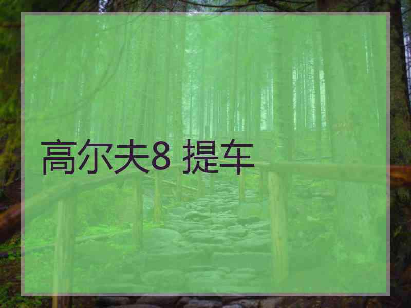 高尔夫8 提车