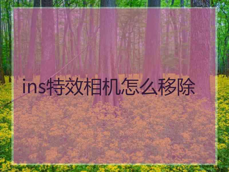 ins特效相机怎么移除