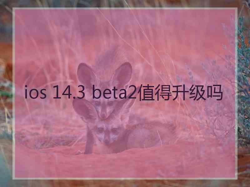 ios 14.3 beta2值得升级吗