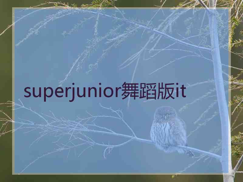 superjunior舞蹈版it