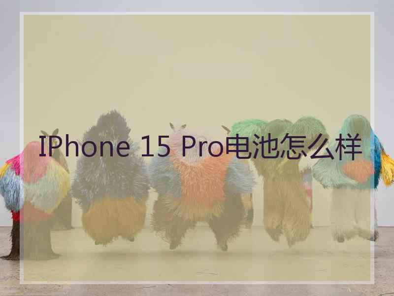 IPhone 15 Pro电池怎么样