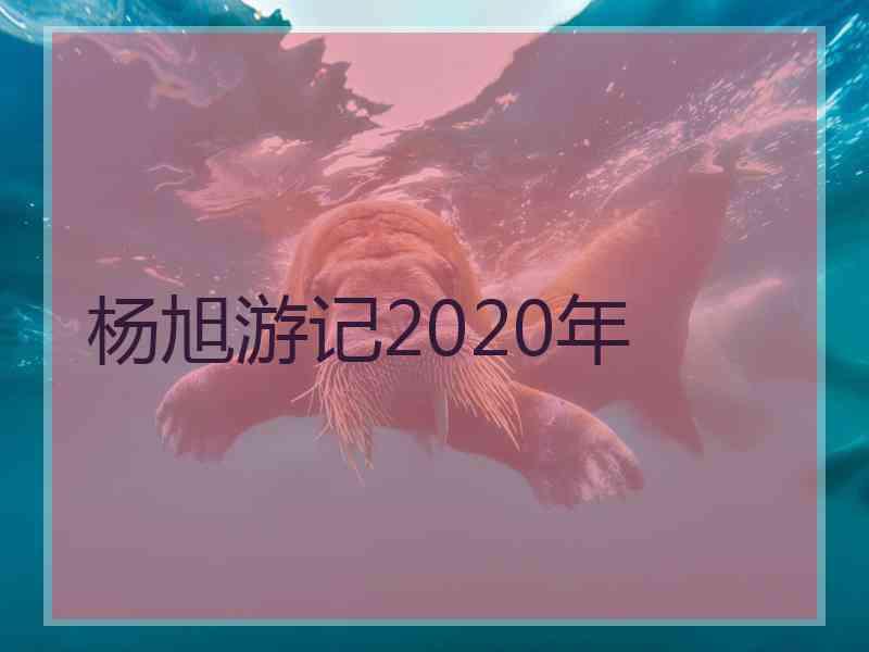 杨旭游记2020年