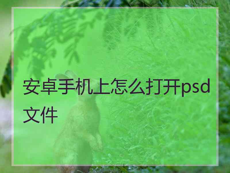 安卓手机上怎么打开psd文件