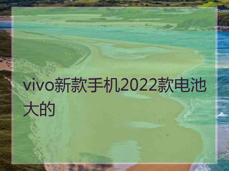 vivo新款手机2022款电池大的