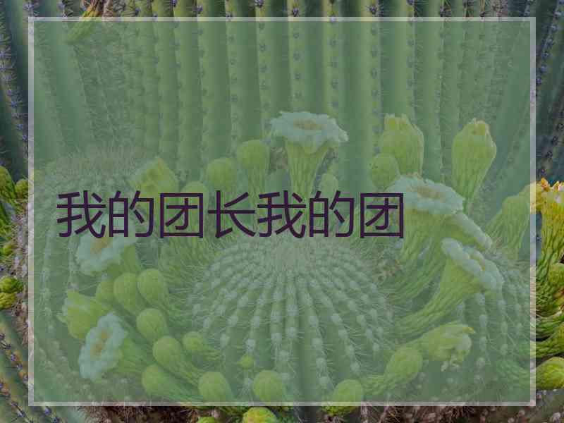 我的团长我的团