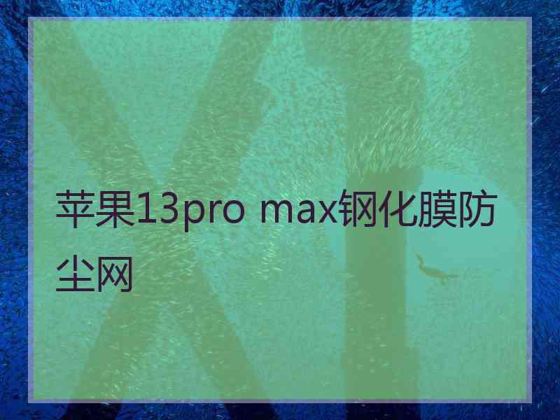 苹果13pro max钢化膜防尘网