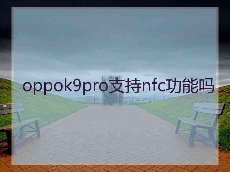 oppok9pro支持nfc功能吗