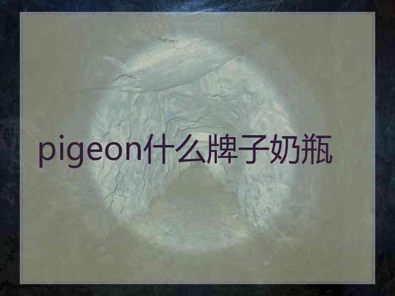 pigeon什么牌子奶瓶