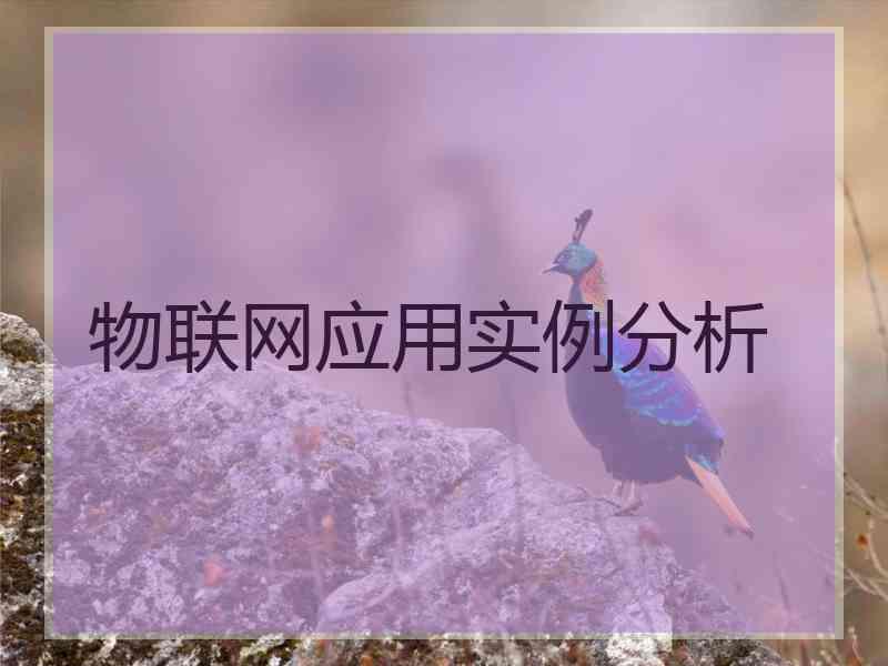 物联网应用实例分析