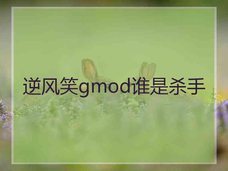 逆风笑gmod谁是杀手