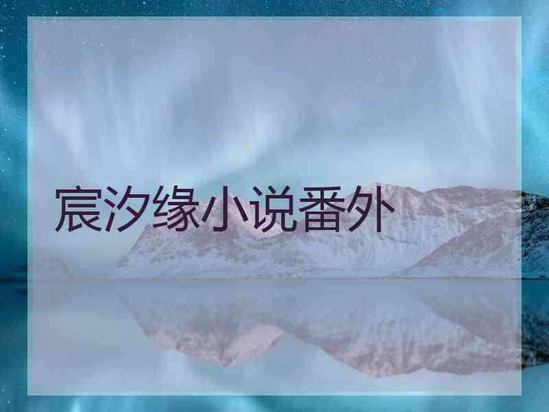 宸汐缘小说番外