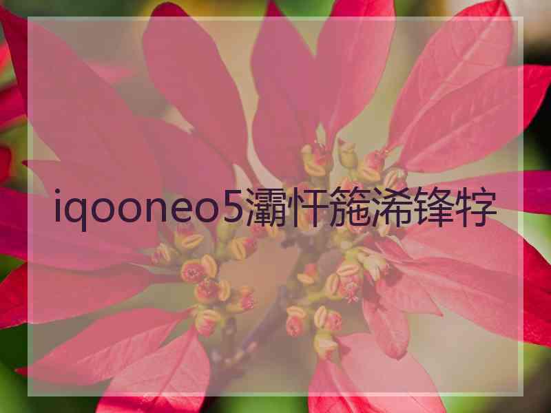 iqooneo5灞忓箷浠锋牸