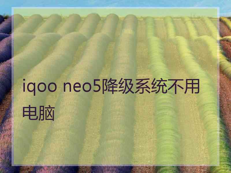 iqoo neo5降级系统不用电脑
