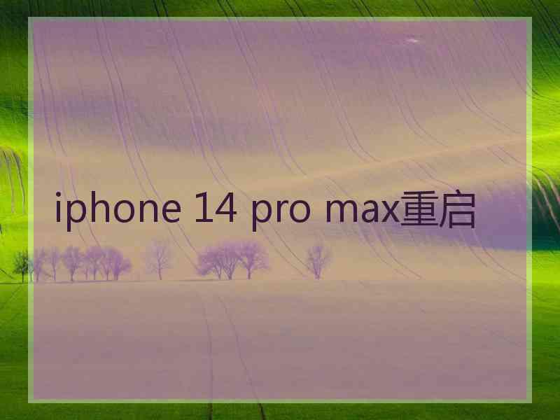 iphone 14 pro max重启