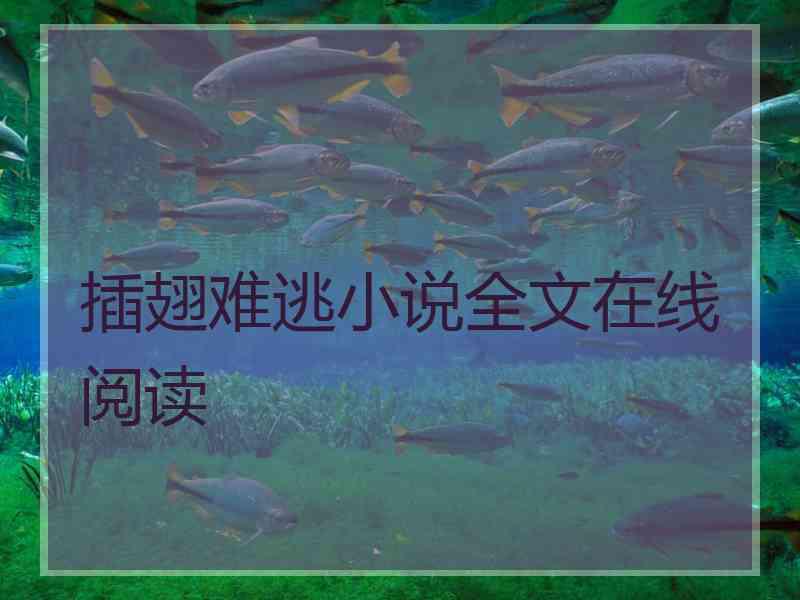 插翅难逃小说全文在线阅读