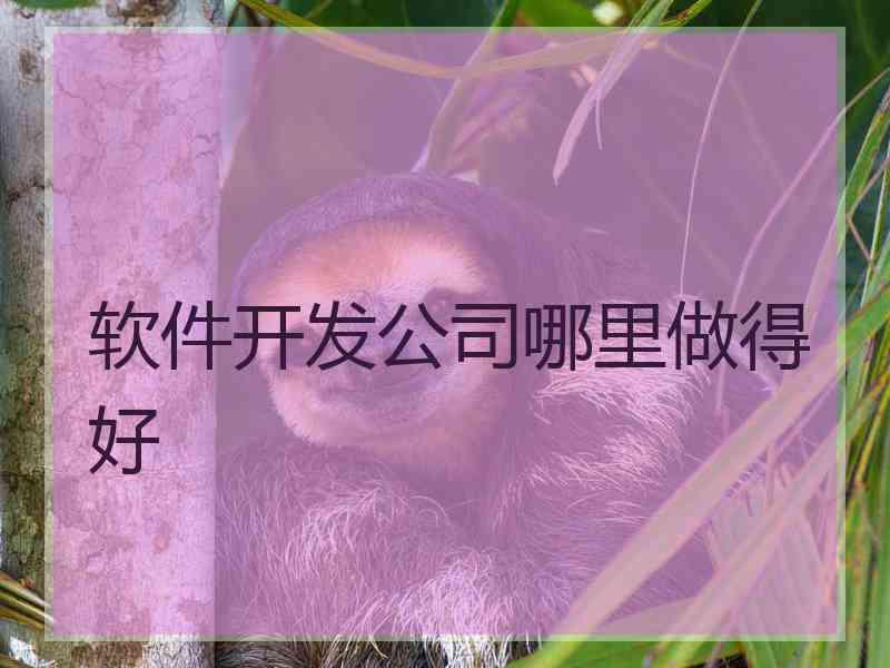 软件开发公司哪里做得好