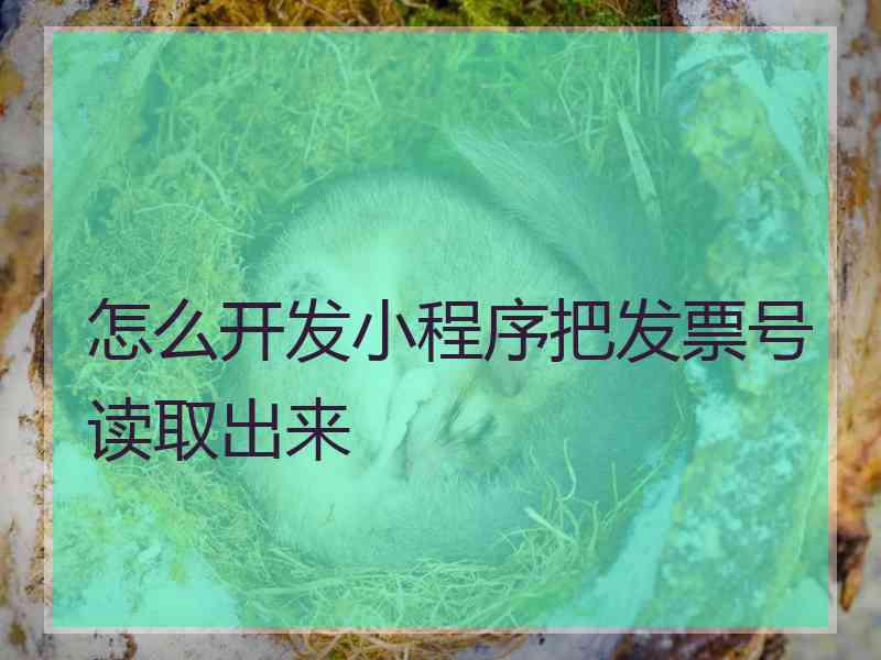 怎么开发小程序把发票号读取出来