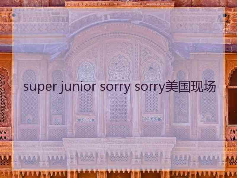 super junior sorry sorry美国现场