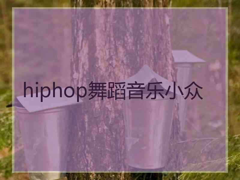 hiphop舞蹈音乐小众