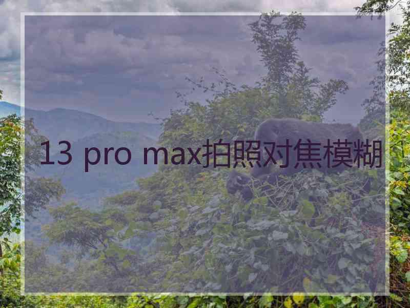 13 pro max拍照对焦模糊