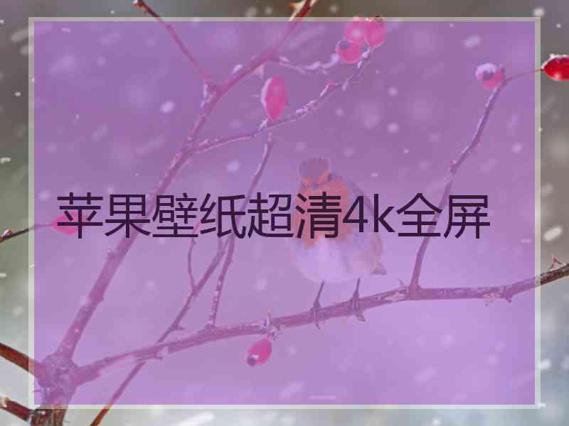 苹果壁纸超清4k全屏