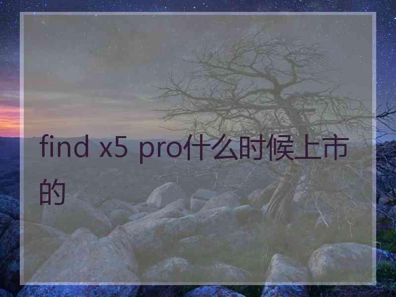 find x5 pro什么时候上市的