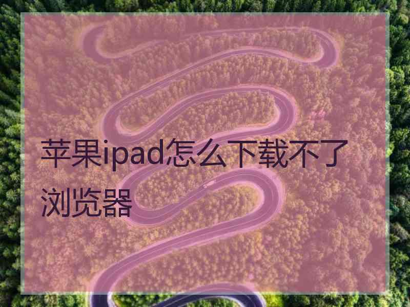 苹果ipad怎么下载不了浏览器