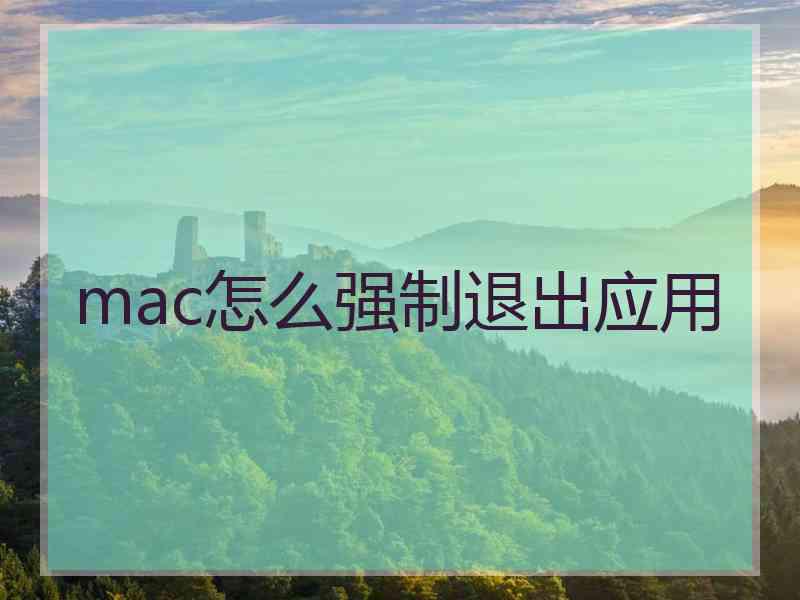 mac怎么强制退出应用