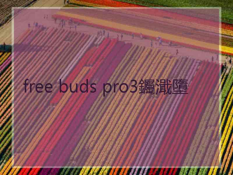 free buds pro3钃濈墮