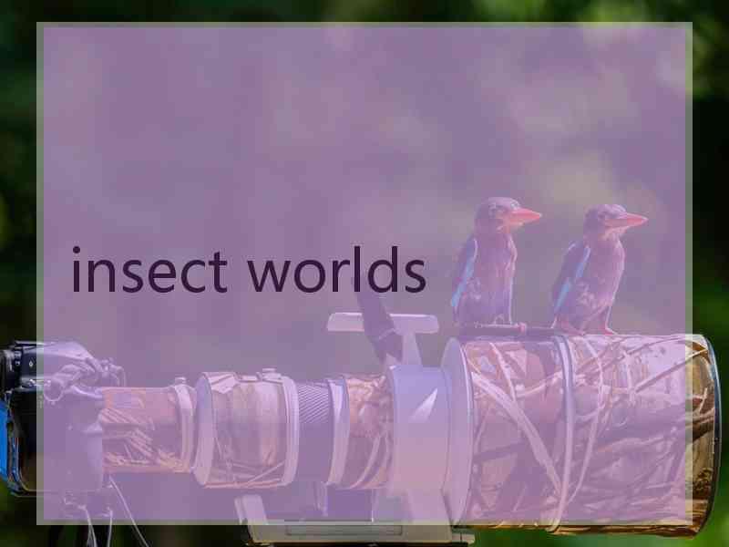 insect worlds