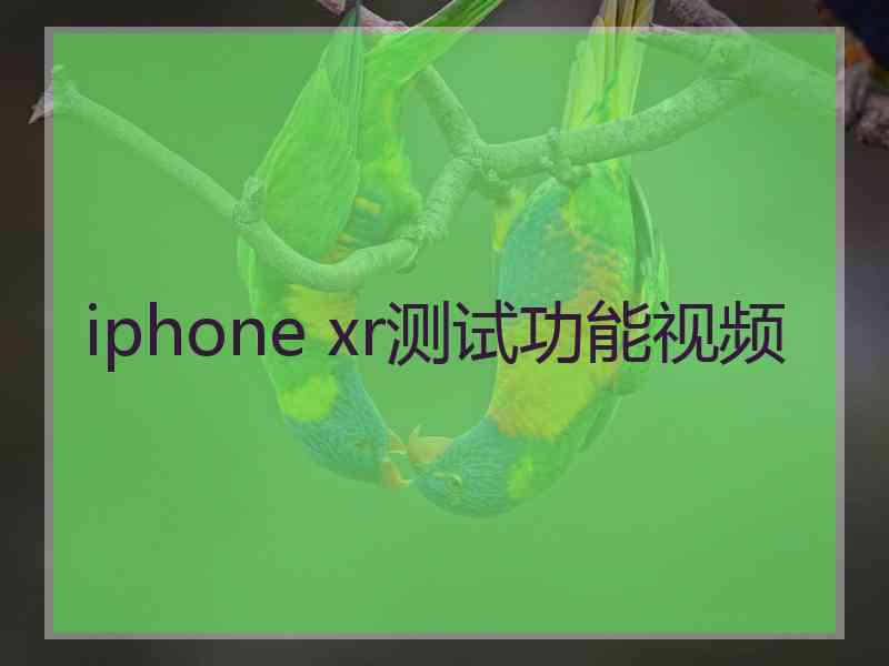 iphone xr测试功能视频