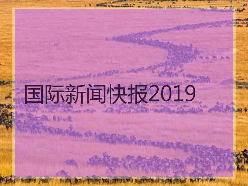 国际新闻快报2019