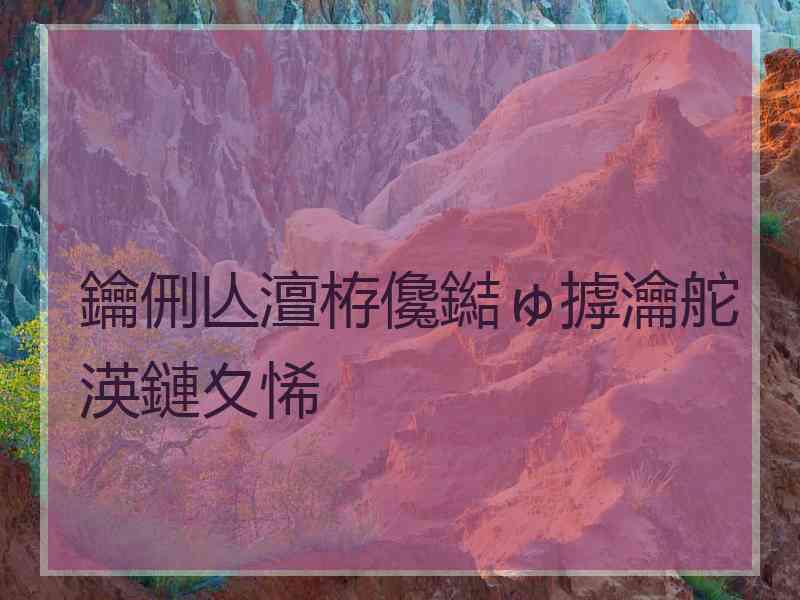 鑰侀亾澶栫儳鐑ゅ摢瀹舵渶鏈夊悕