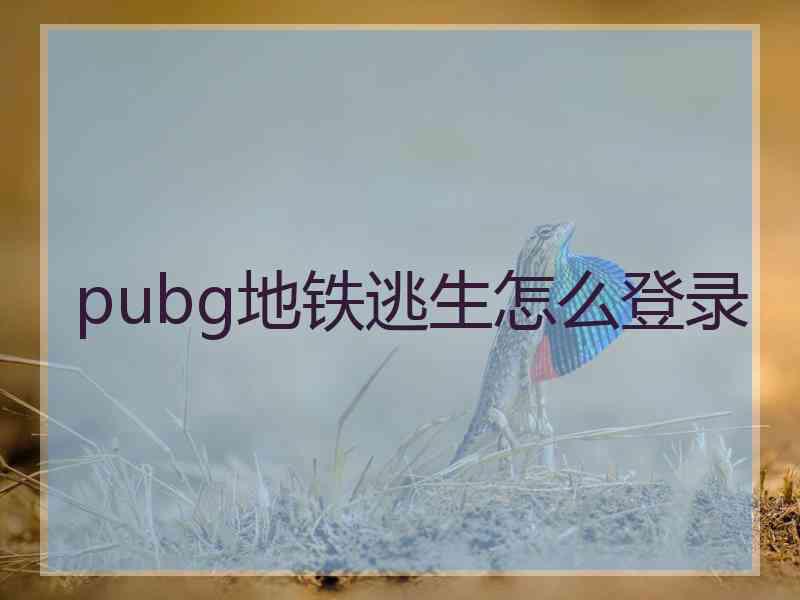 pubg地铁逃生怎么登录