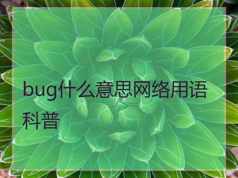 bug什么意思网络用语科普