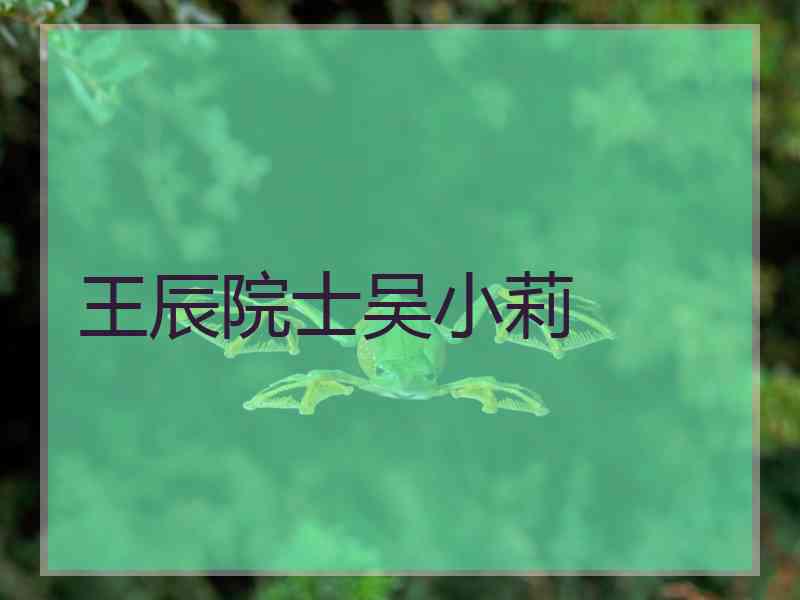 王辰院士吴小莉