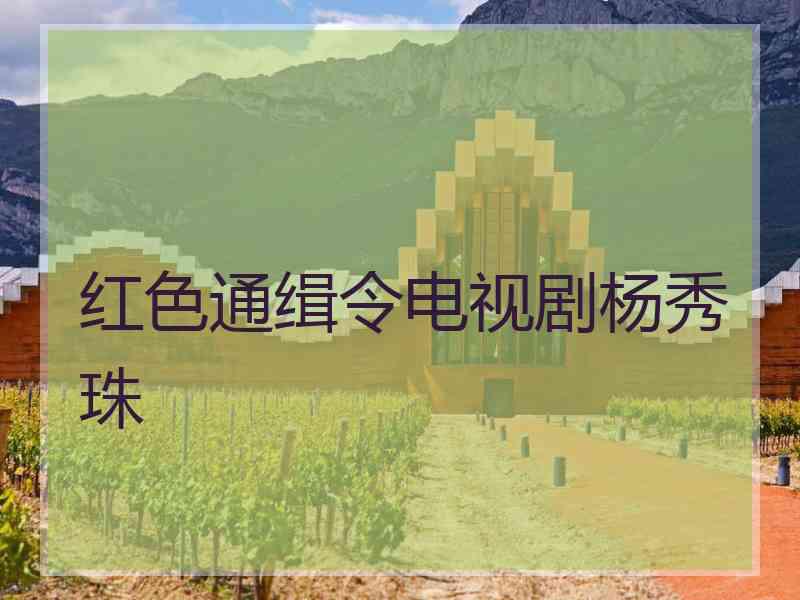 红色通缉令电视剧杨秀珠