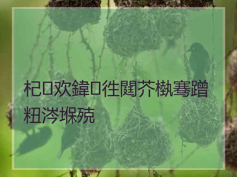 杞欢鍏徃閮芥槸骞蹭粈涔堢殑