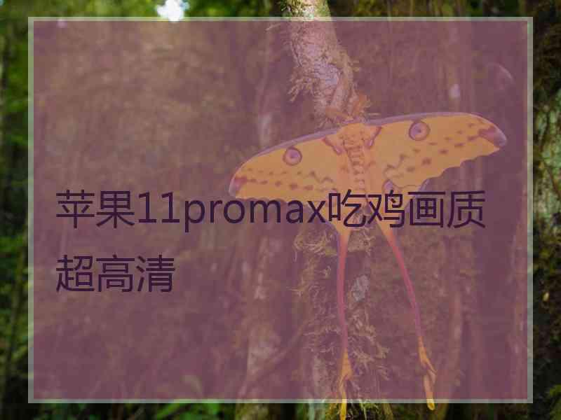 苹果11promax吃鸡画质超高清