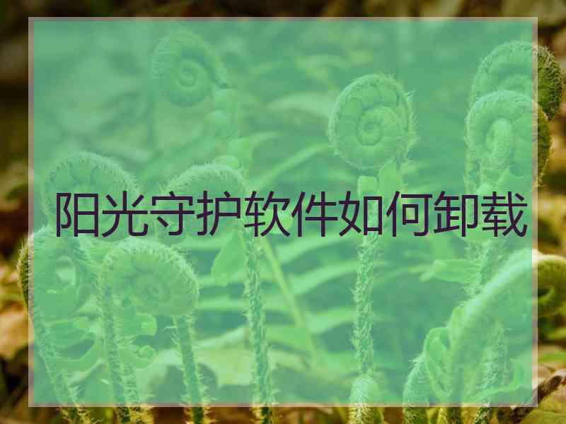 阳光守护软件如何卸载