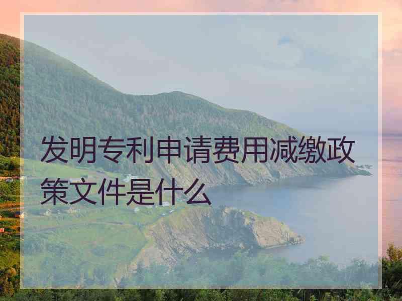 发明专利申请费用减缴政策文件是什么