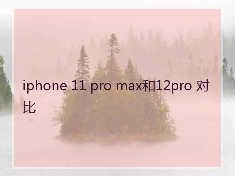 iphone 11 pro max和12pro 对比