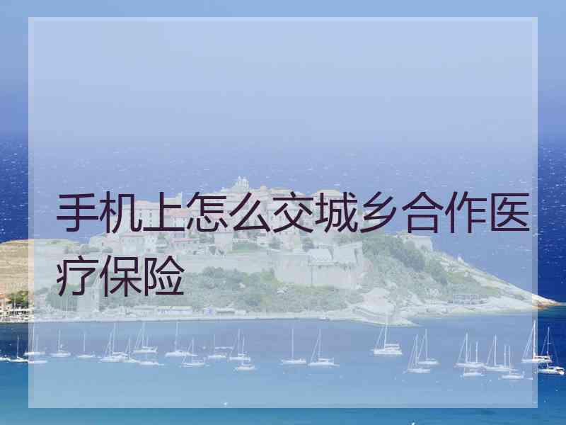 手机上怎么交城乡合作医疗保险